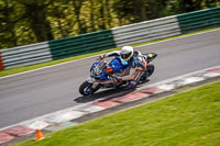 cadwell-no-limits-trackday;cadwell-park;cadwell-park-photographs;cadwell-trackday-photographs;enduro-digital-images;event-digital-images;eventdigitalimages;no-limits-trackdays;peter-wileman-photography;racing-digital-images;trackday-digital-images;trackday-photos